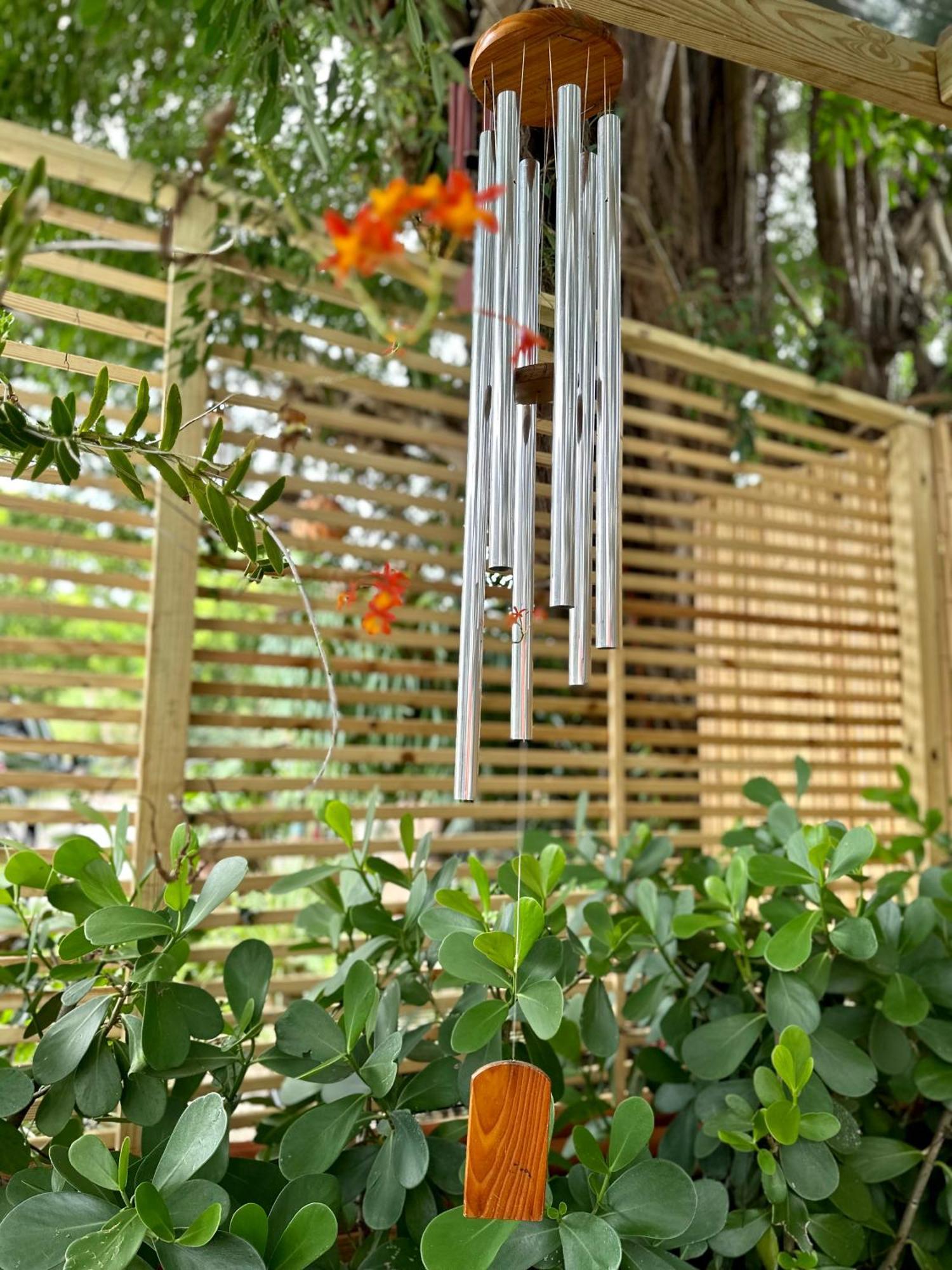 Flora'S Garden Apartment/Studio North Miami Esterno foto